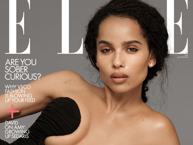 US Elle February 2020 : Zoë Kravitz by Paolo Kudacki