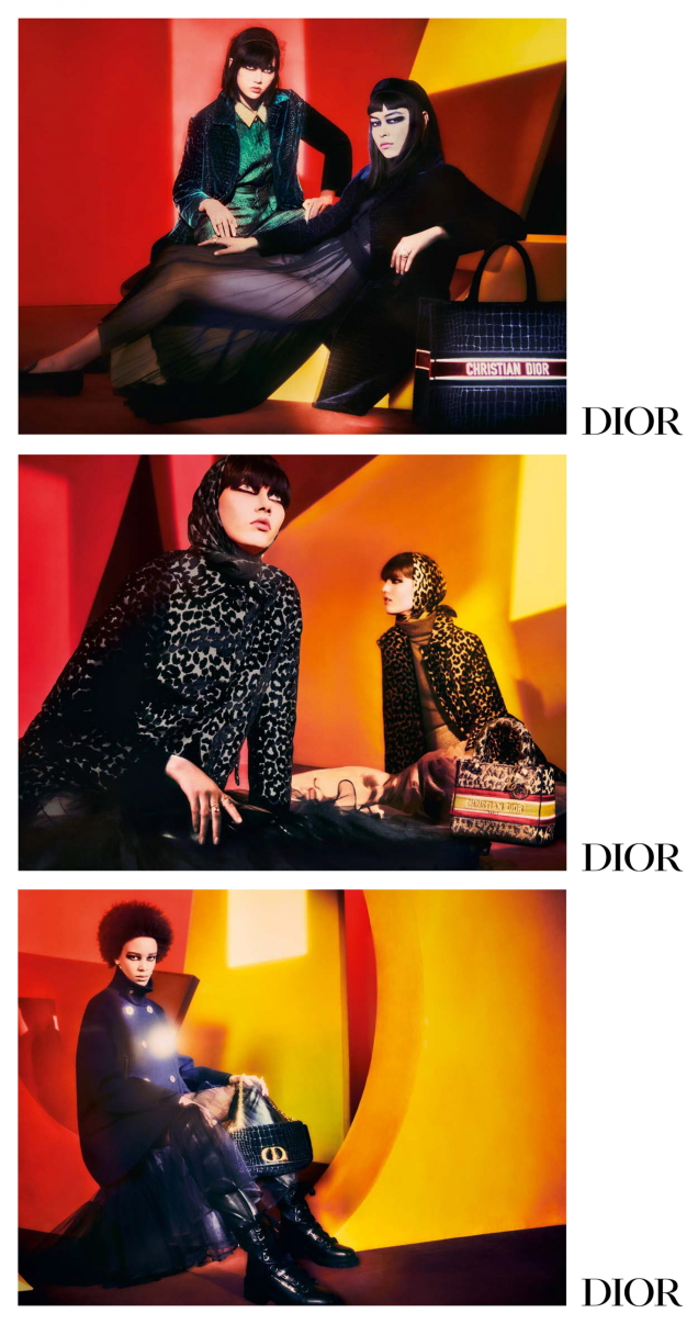 Christian Dior F/W 2021.22 : Steinberg, Sade, Maryel & Essoye by Elizaveta Porodina