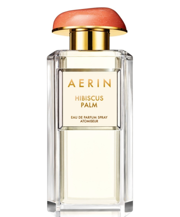 Aerin