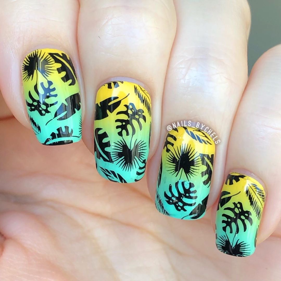 Tropical Take